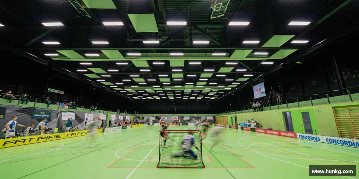 认识芒果(mangosport)体育